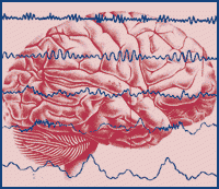 brainwave